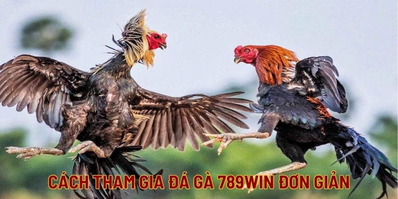 Tham gia đá gà và cá cược cực dễ tại 789WIN