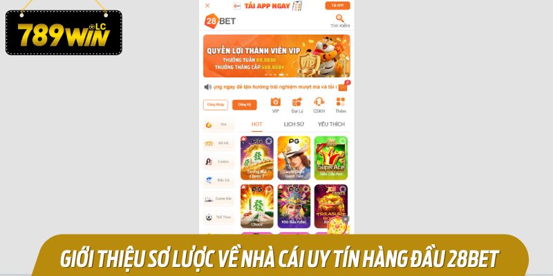 Tổng quan về nhà cái đáng tin cậy nhất hiện tại - 28BET