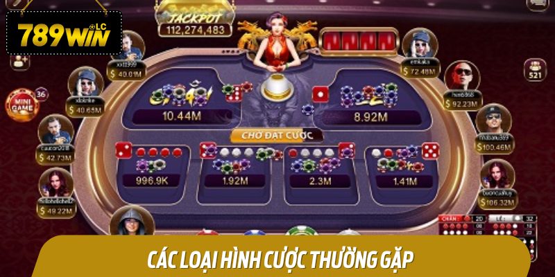 Các Loại Hình Cược Thường Gặp