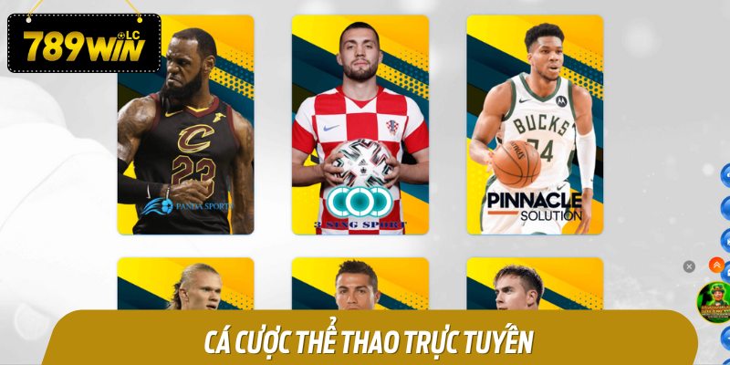 Cá cược thể thao trực tuyến