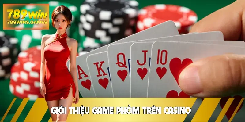 bai-phom-gio-thieu