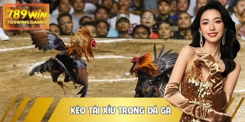 da-ga-keo-tai-xiu